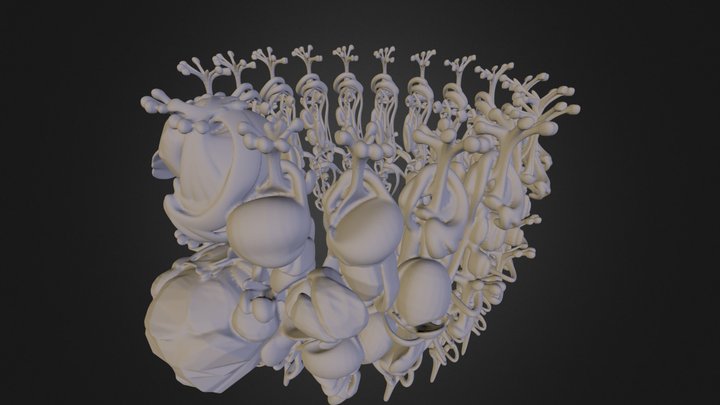 Blown up Harmonica Bracelet 3D Model