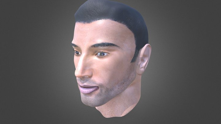 Dark Haired_Head 3D Model