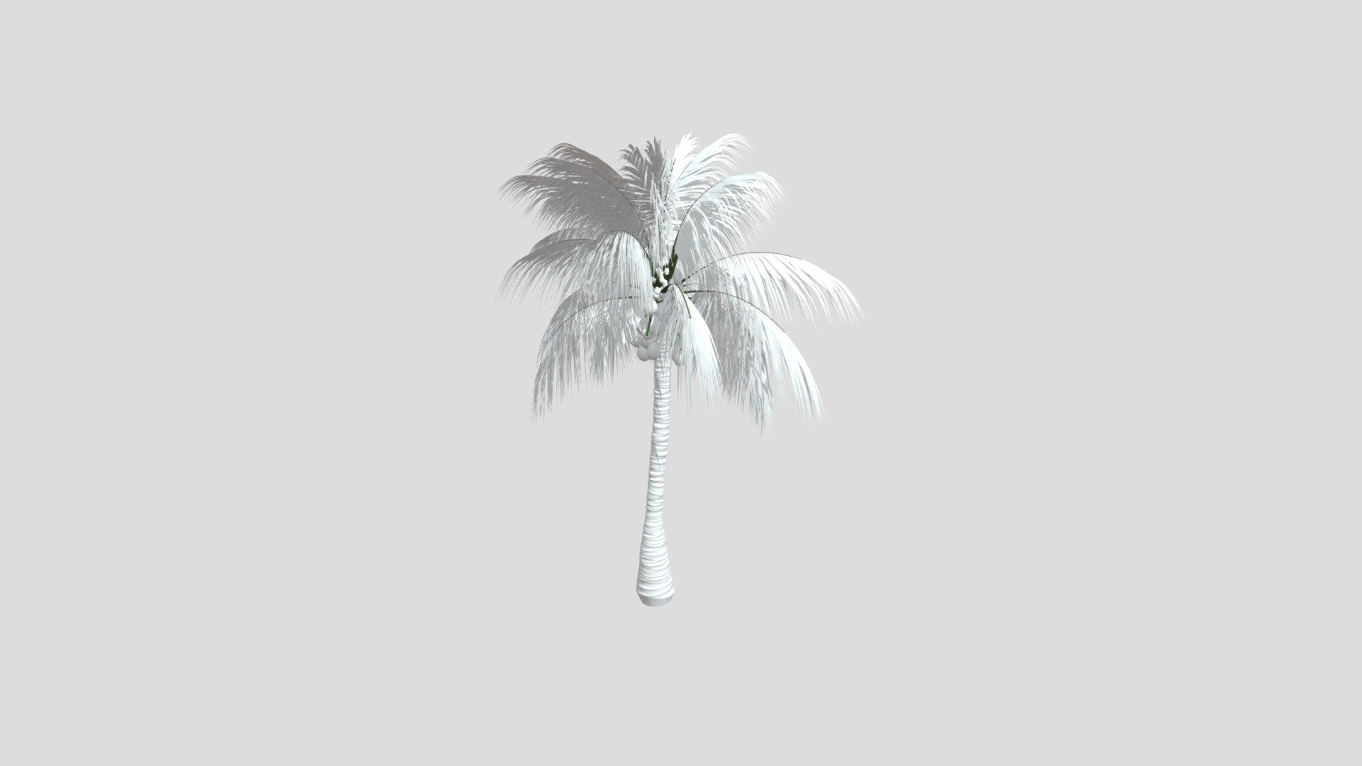 Coconut Tree - 3D model by ripocabing1976 [46eeff9] - Sketchfab