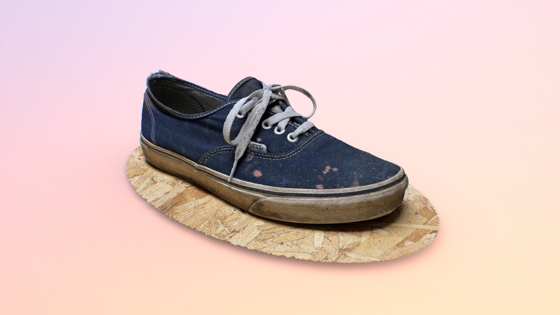 Old Blue Vans Shoe