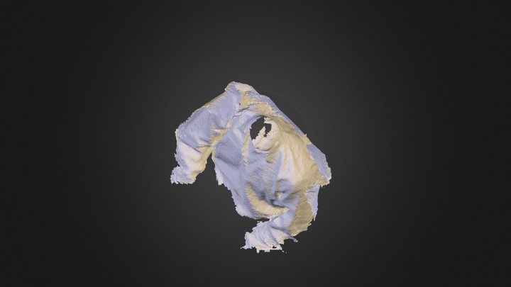Sebastián 3D Model