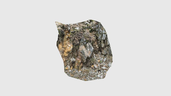 Pliegue en M 3D Model