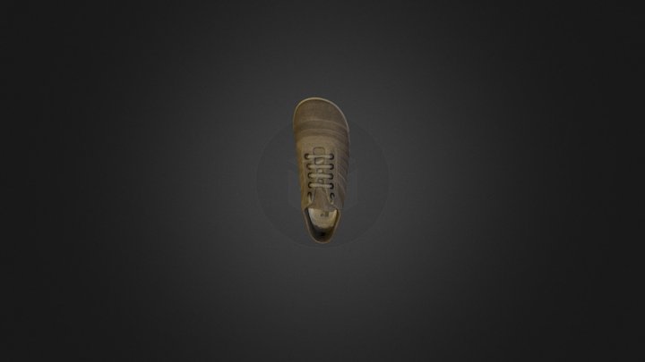 Shoe 3D Model