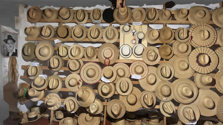 Straw Hats Museum - Wall of Hats 3D Model