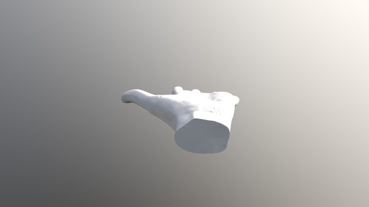 Hand-plyqqq 3D Model