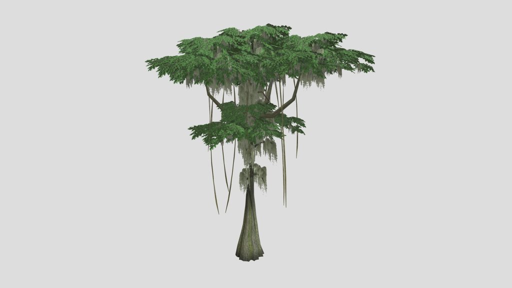 Jungle Tree