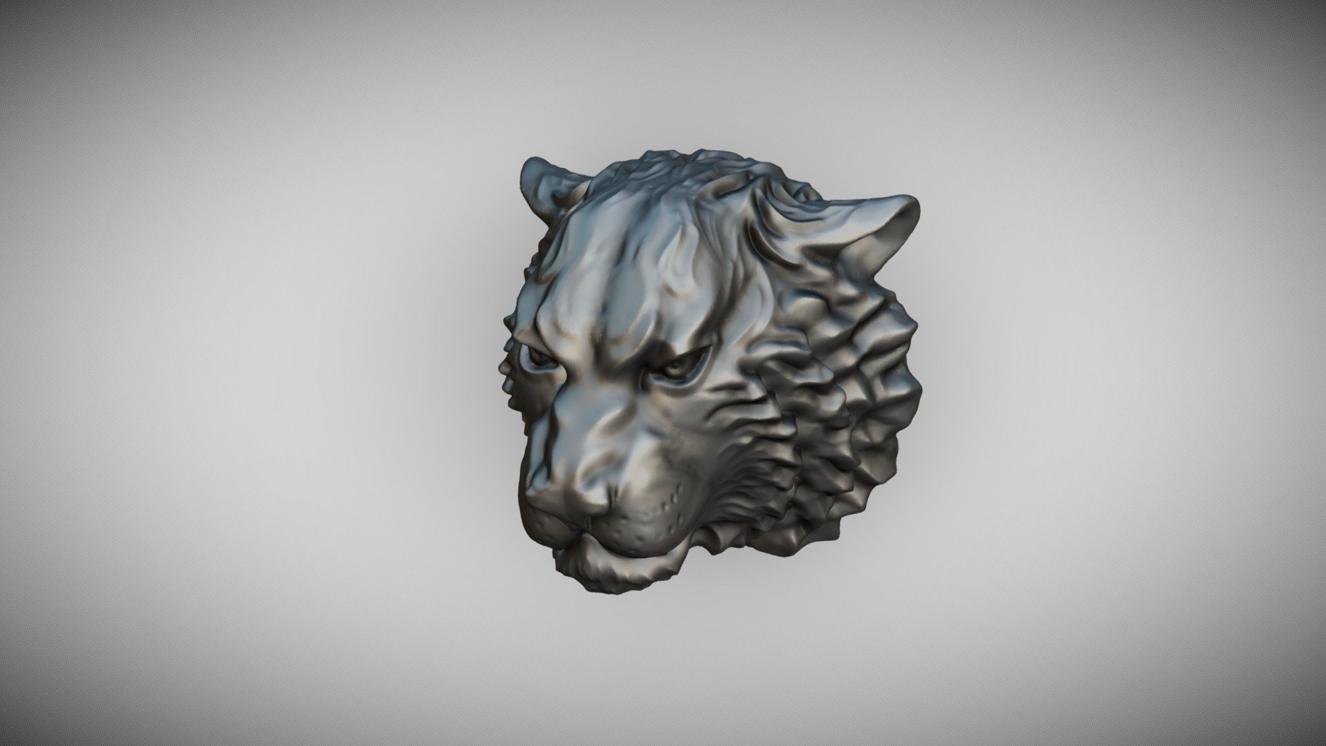 Tiger head