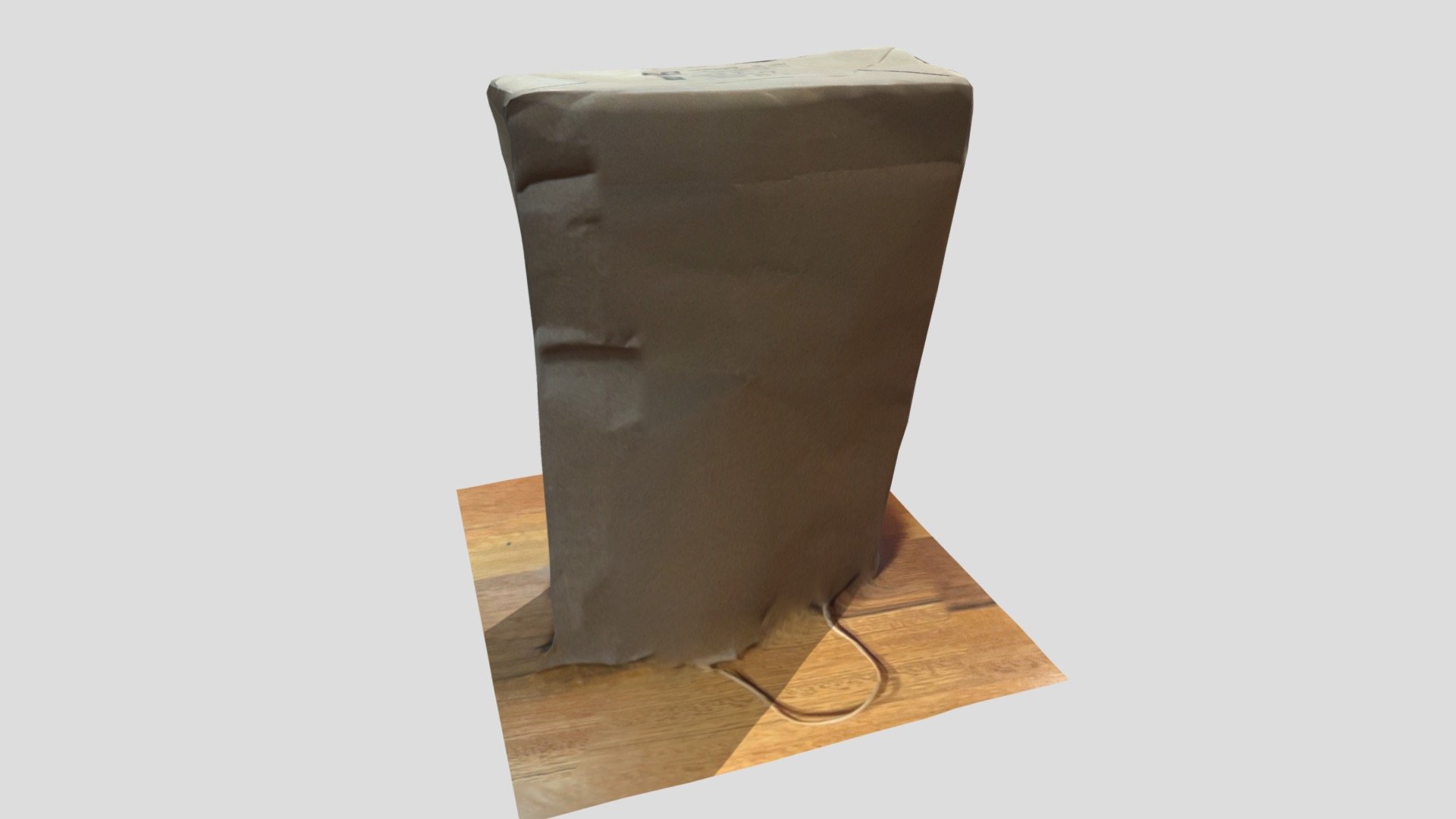 Brown Paper Bag Standing