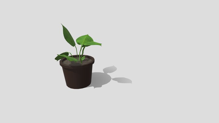 Potplant 3D Model