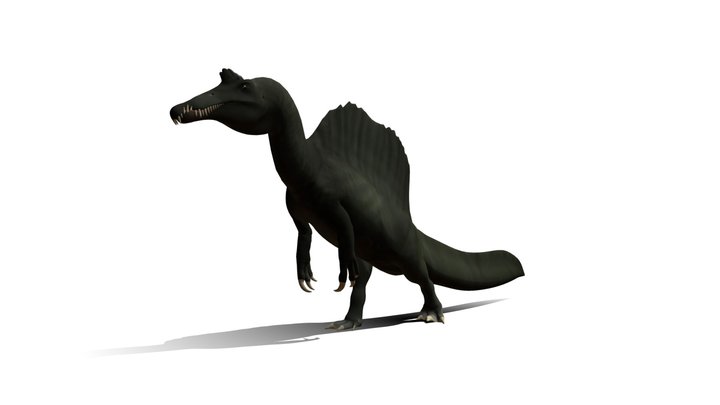 Walking Spinosaurus Maroccanus 3D Model