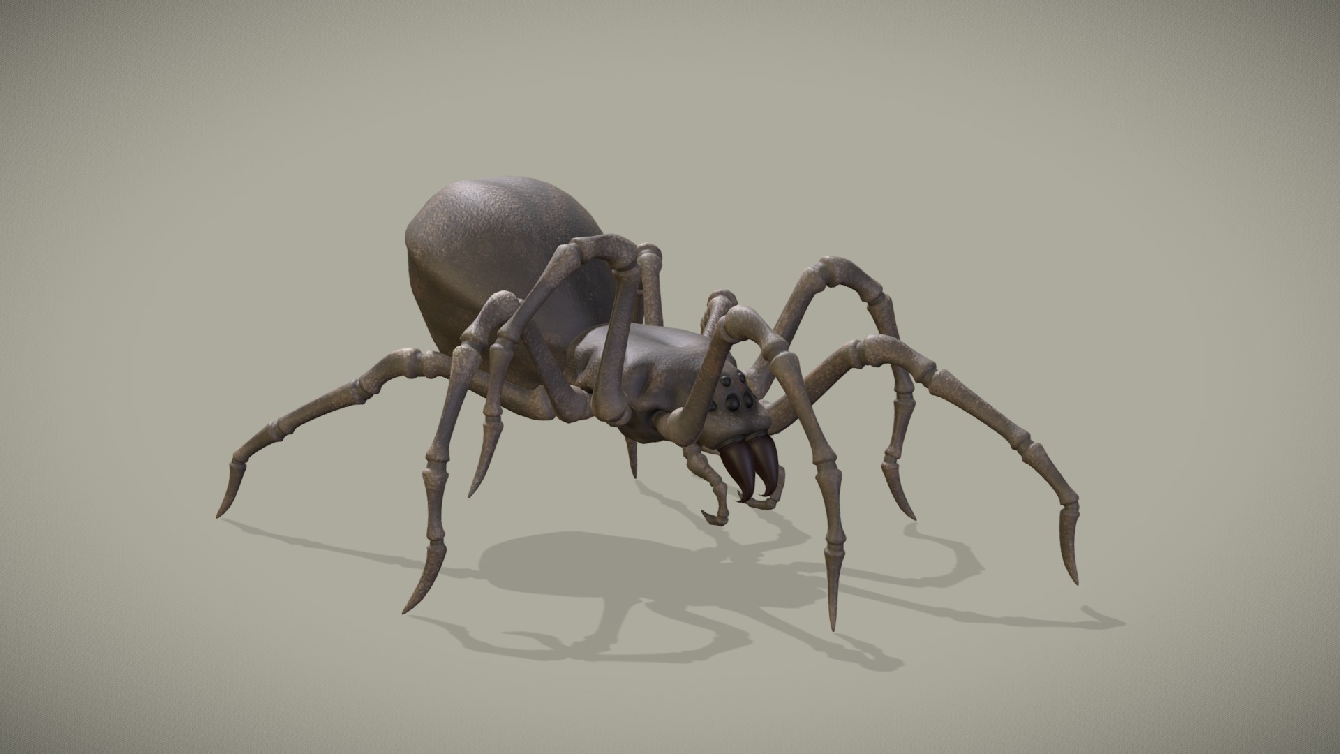 3D model Spider Walk Cycle Animation - This is a 3D model of the Spider Walk Cycle Animation. The 3D model is about a close-up of a bug.