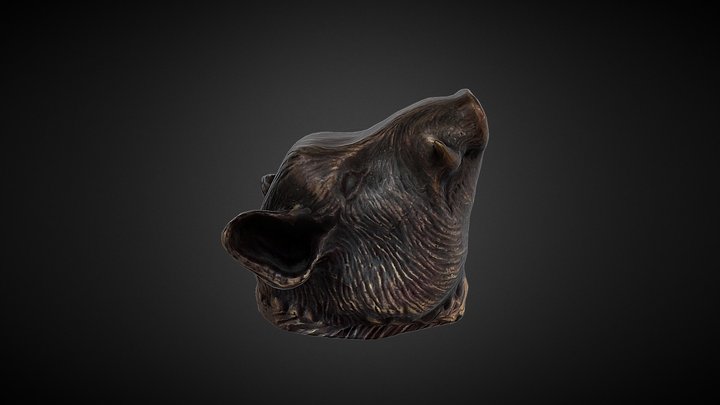 Boar head asset 3D Model