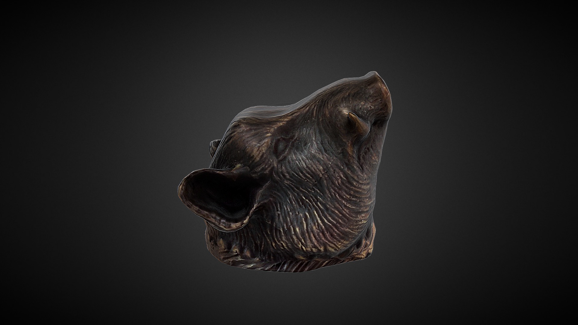 3D model Boar head asset