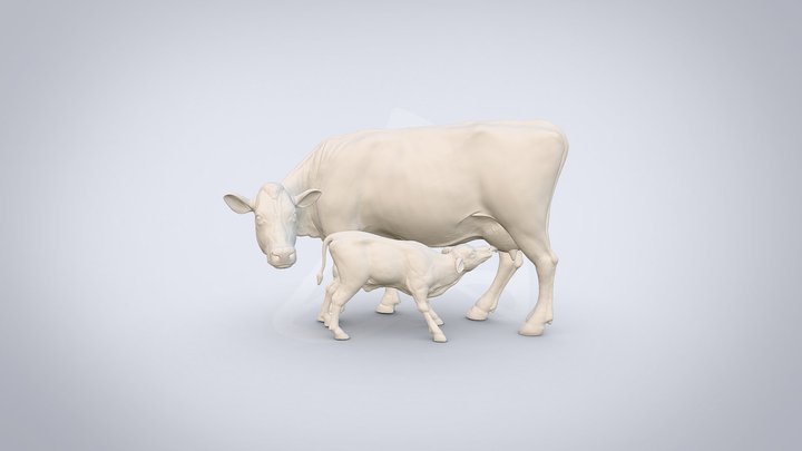 Cow and calf 3D Model