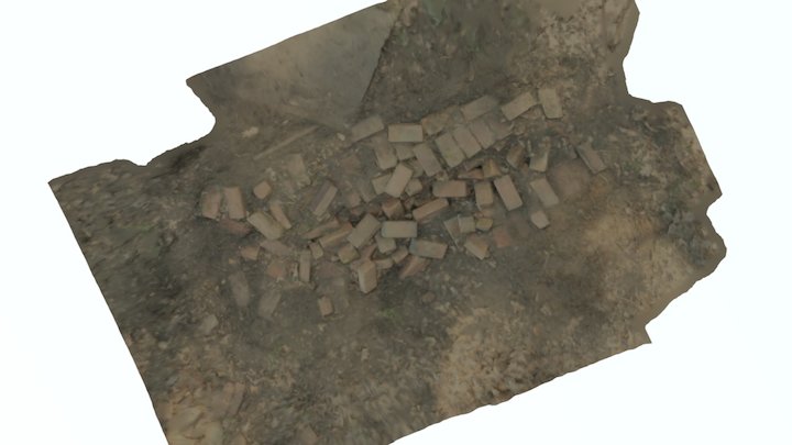 Syrple 3D Model