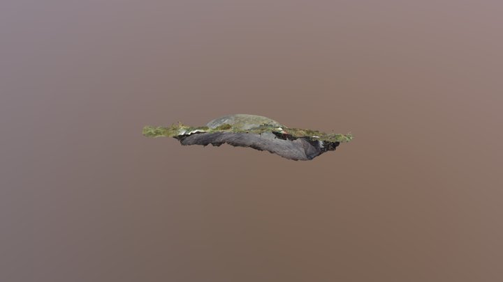 Goat Craig 11 3D Model