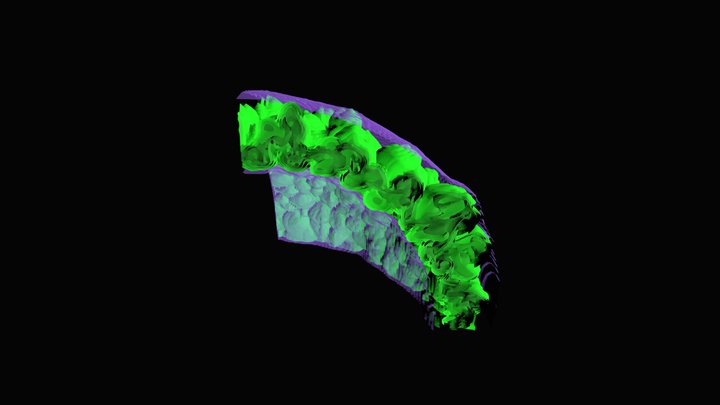 N100 supernova remnant (one octant) 3D Model