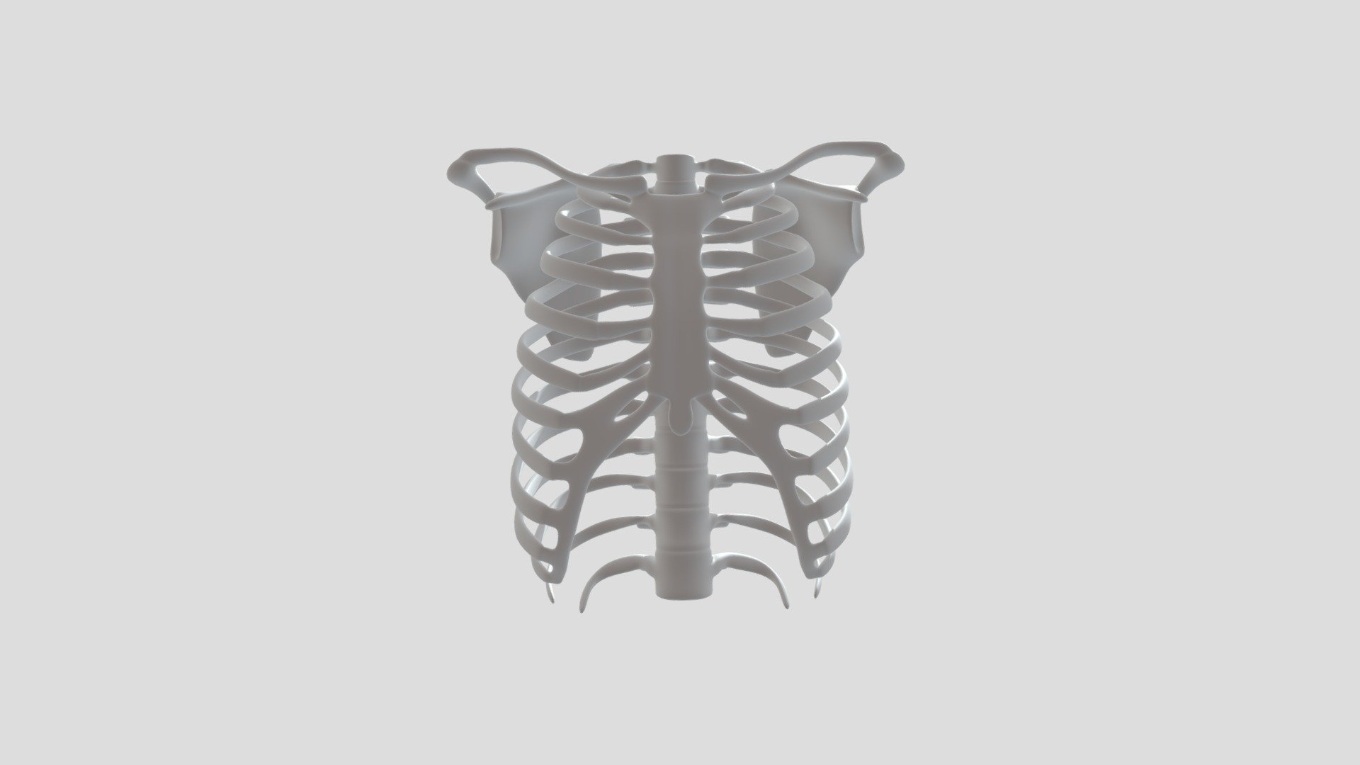 RibCage - Download Free 3D model by VladimKosobokov [47101cc] - Sketchfab