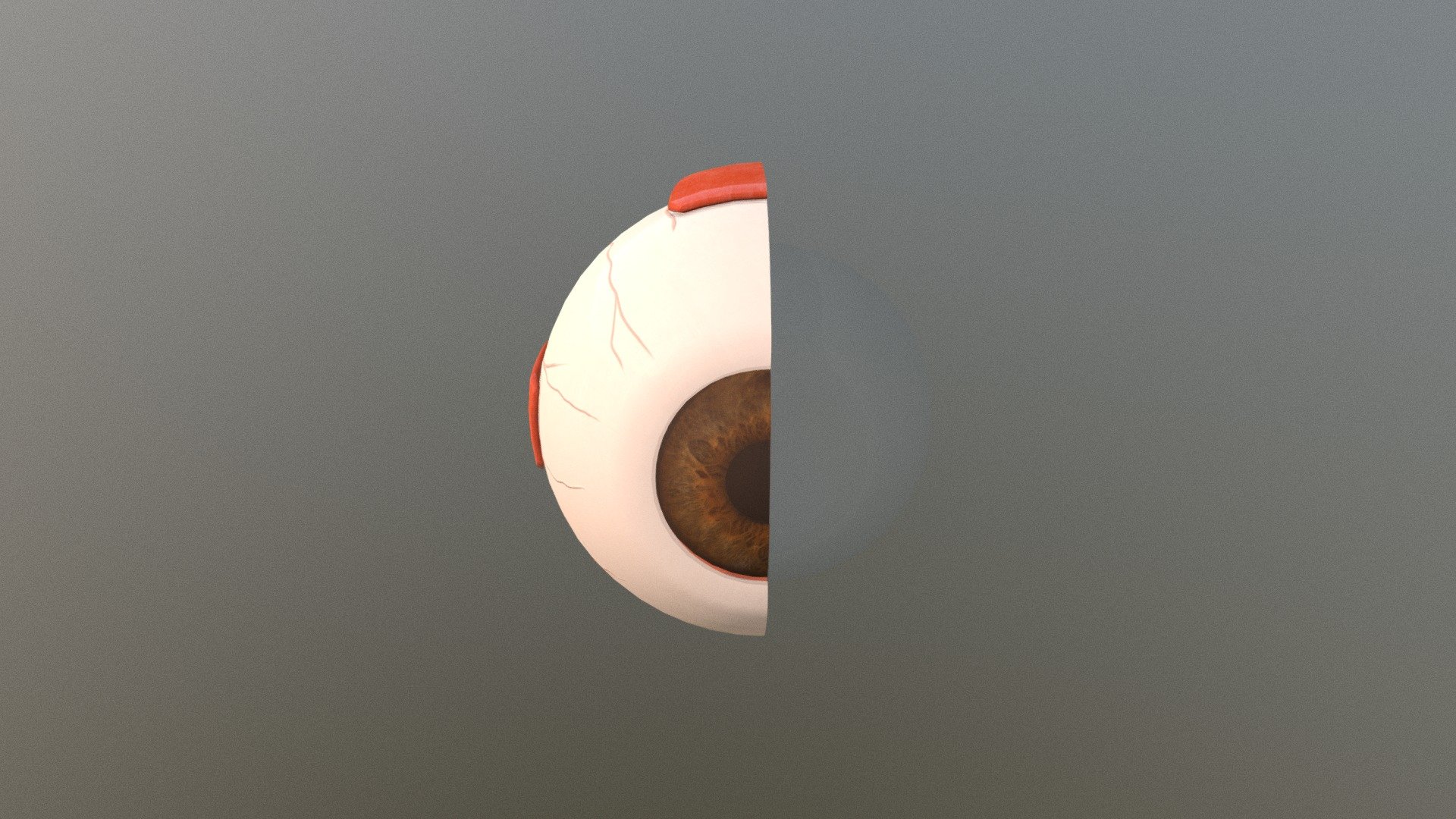 EYE