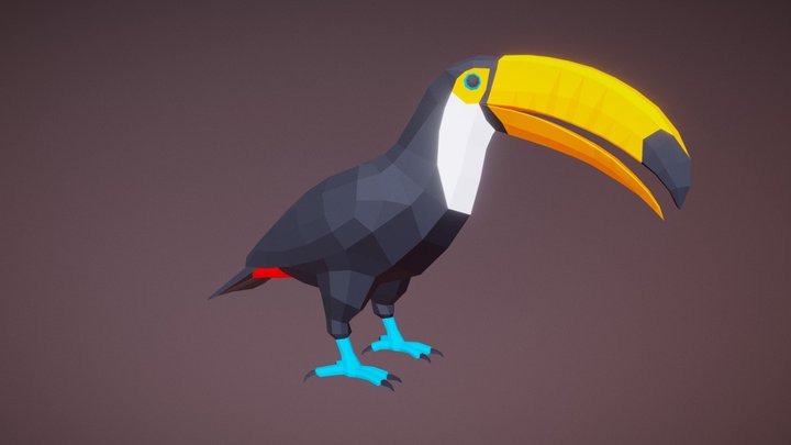 Toucan (by Naomi Chen, CC-BY) 3D Model