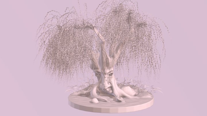 Old Willow 3D Model