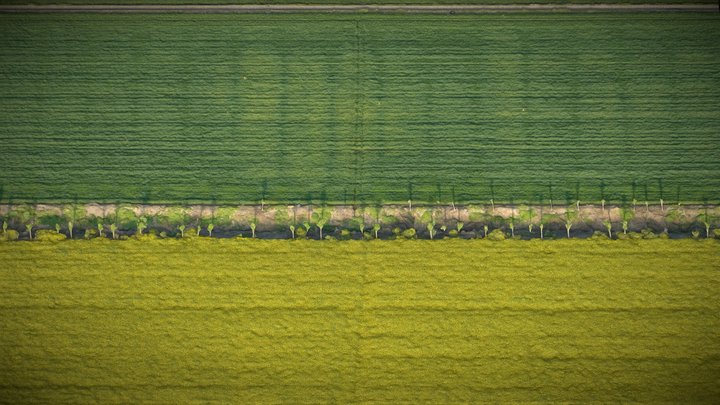 Rice field, cornfield, farmland – Gratis 3D-model STL