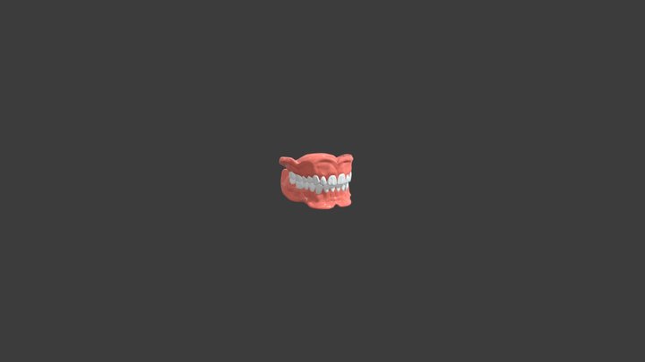 Dentures together 3D Model