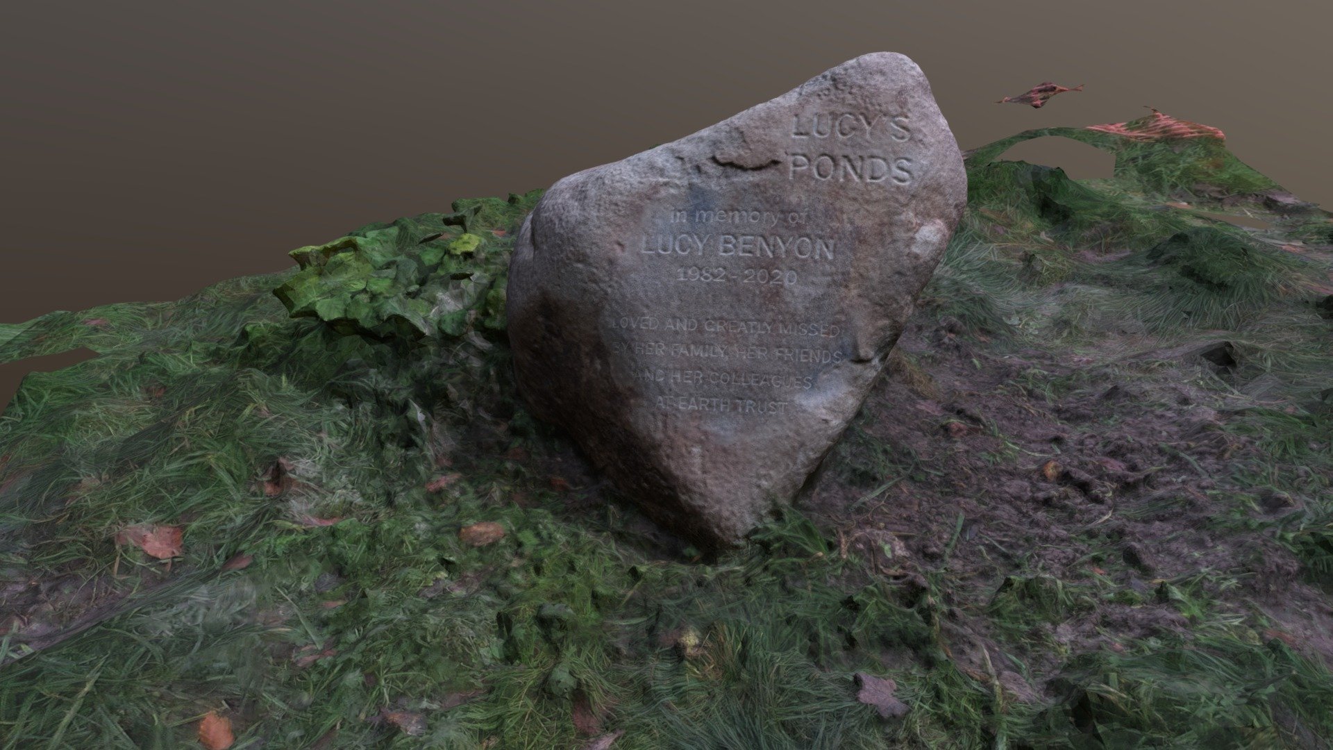 Lucy's Stone