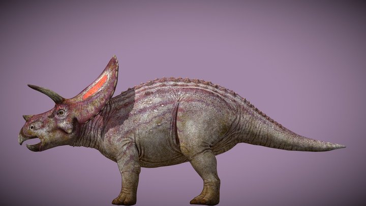 JWE2 Torosaurus – Modelo 3D gratuito STL