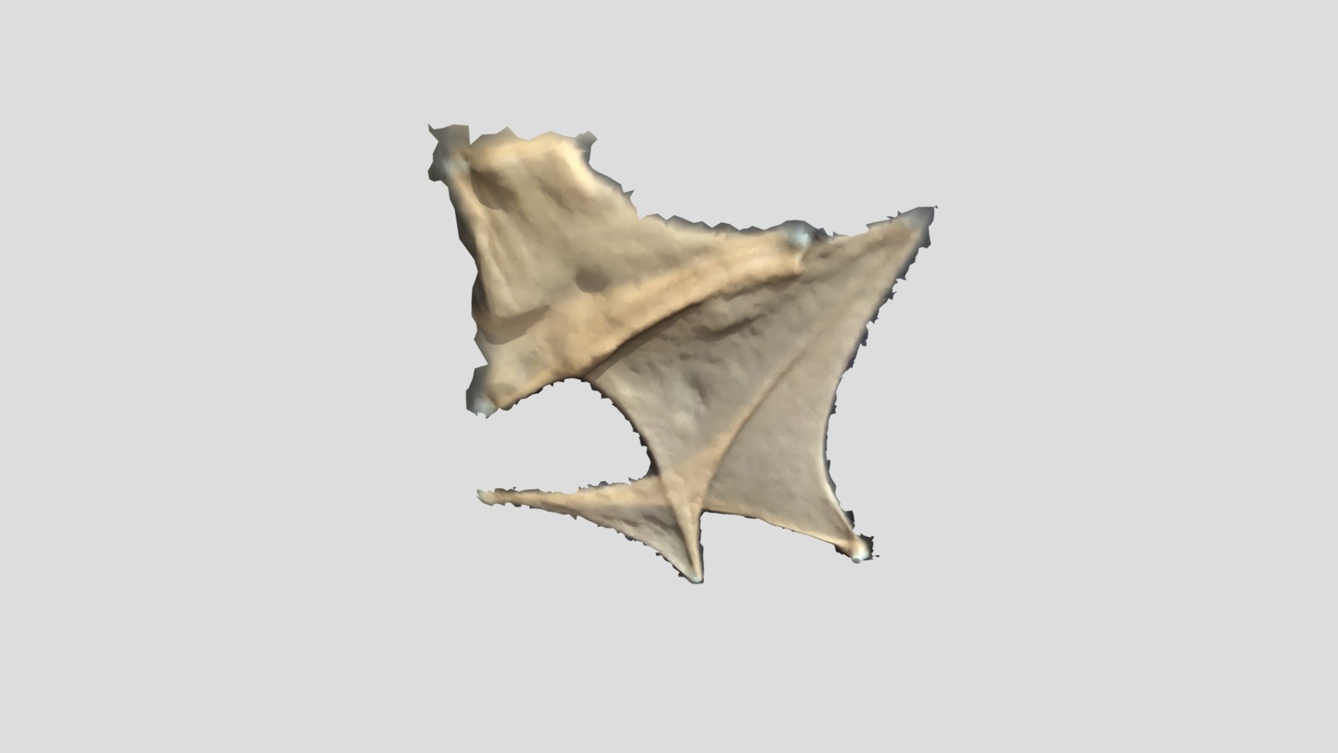 FABRIC