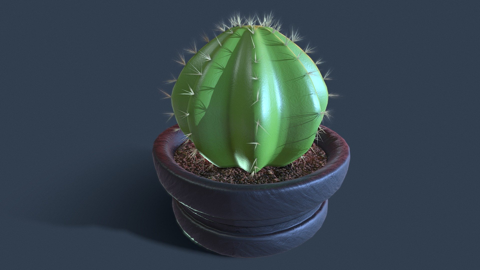 Cactus