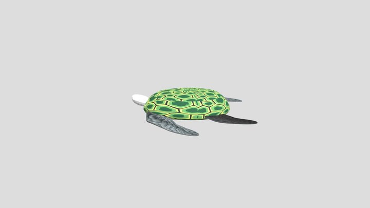 Daily Model: Reptile - 8th Oct 3D Model