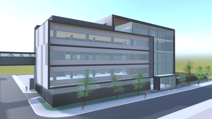 Paricutin Abril 25 2018 3D Model