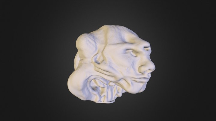 Tri Face 3D Model