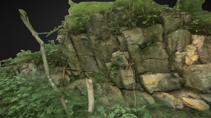 Rock face 3D Model
