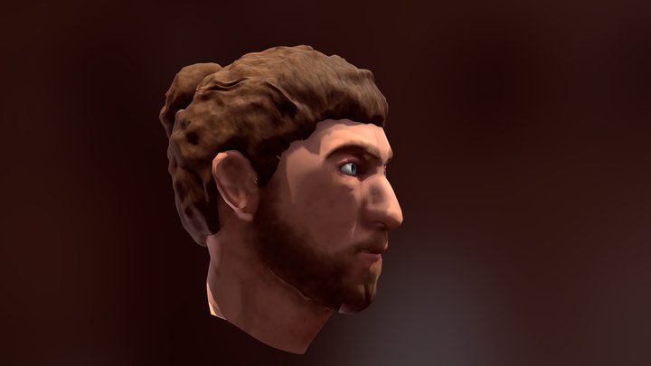 Busto Retopo 3D Model