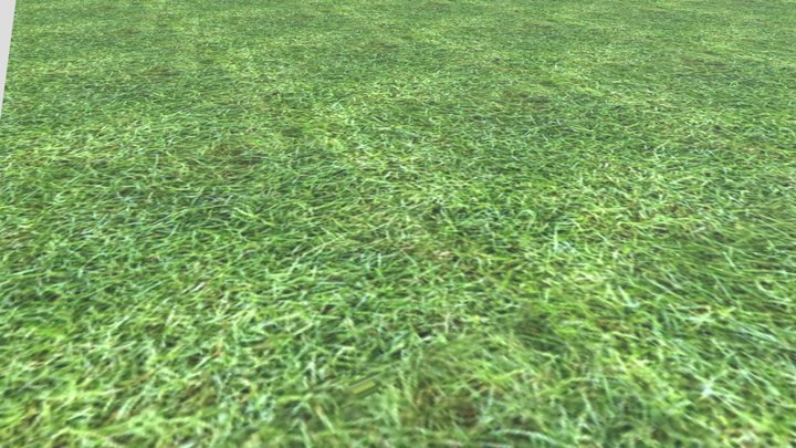 Don’t Touch Grass 3D Model