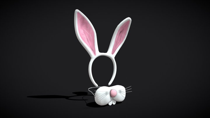 Bunny Attire 3D Model