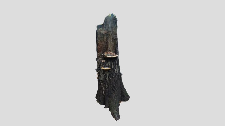 Dead Tree – Modelo 3D gratuito STL