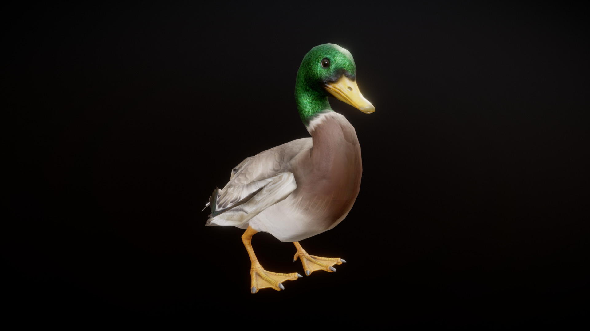 3D model DUCK ANIMATION - This is a 3D model of the DUCK ANIMATION. The 3D model is about a duck with a green head.
