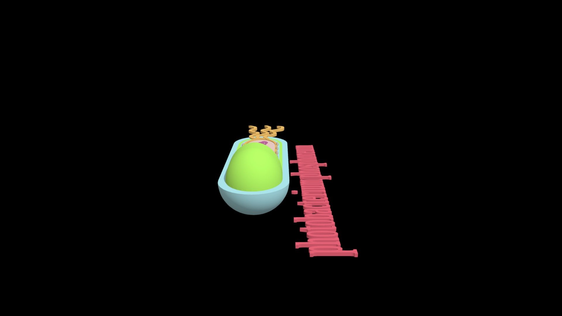 microughs_PhotobacteriumPhosphoreum_Fernando1