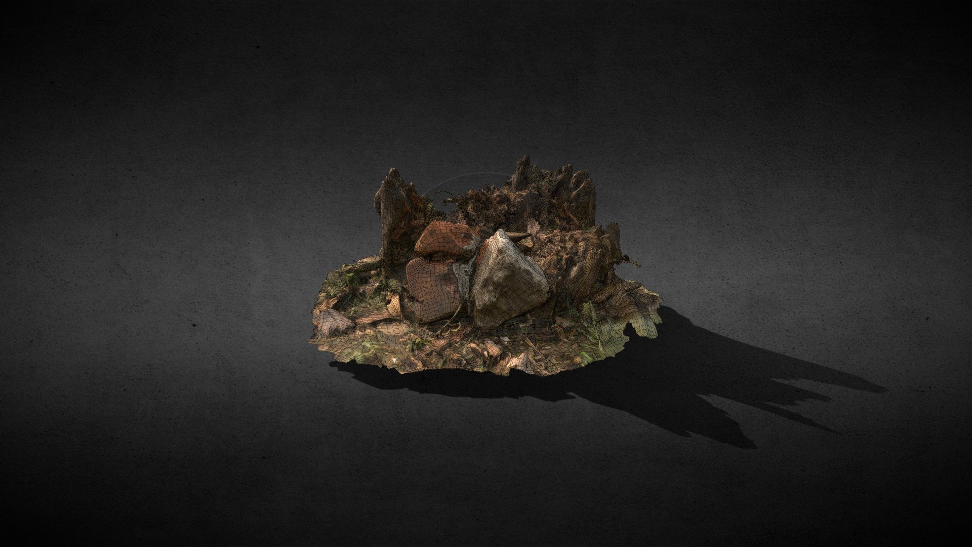 Tree Stump