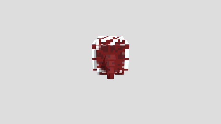 Eye 3D Model