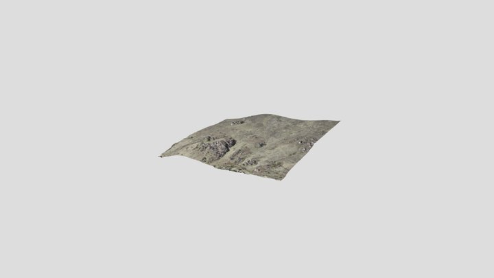 model 3D Model