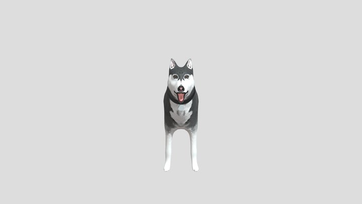 Dog Model - Dog Days 3D Model