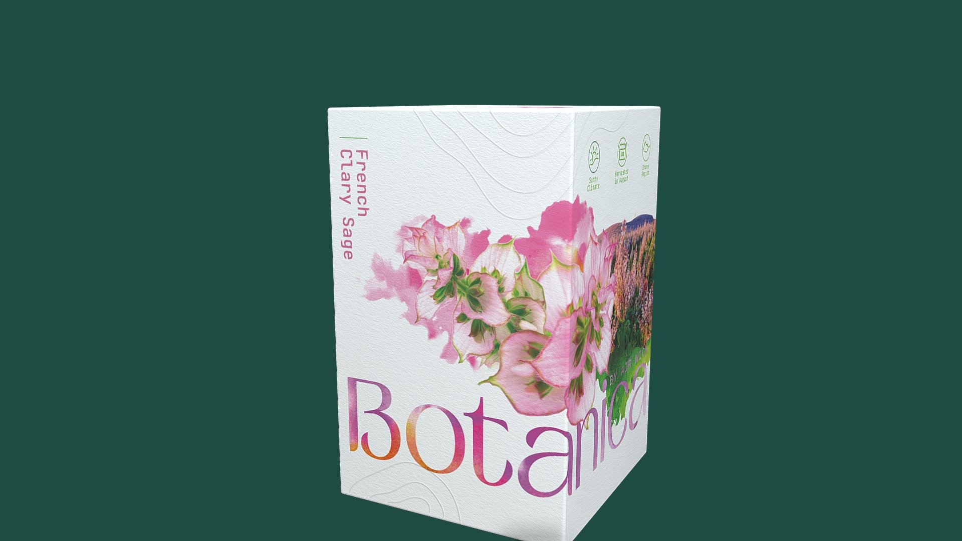 Botanica - French Clary Sage - 3D model by Design Bridge (@harrietbrady ...