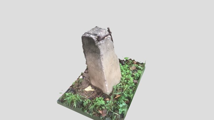 Stone Scan 3D Model