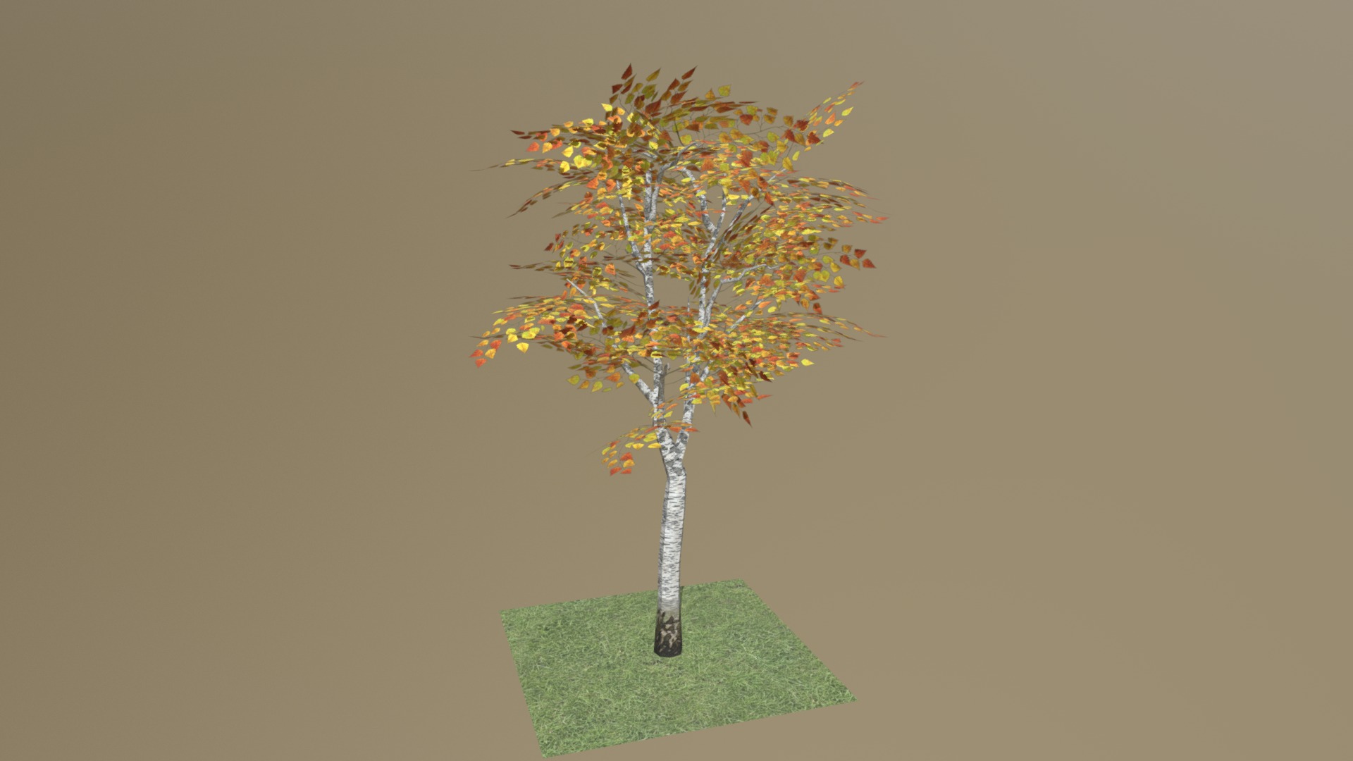 3D model Birch tree - This is a 3D model of the Birch tree. The 3D model is about a tree with orange leaves.