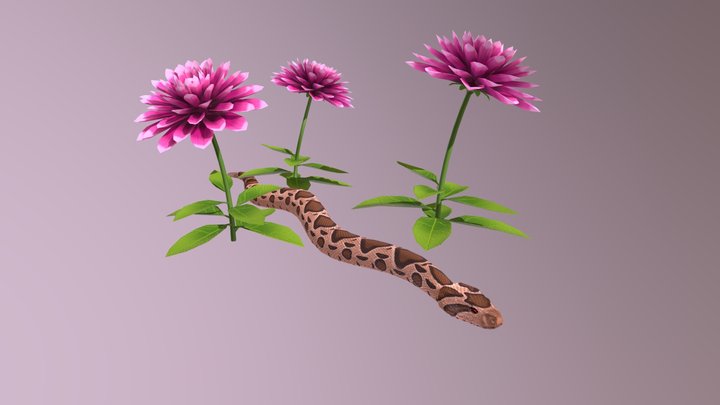 Snake and Flower props 3D Model