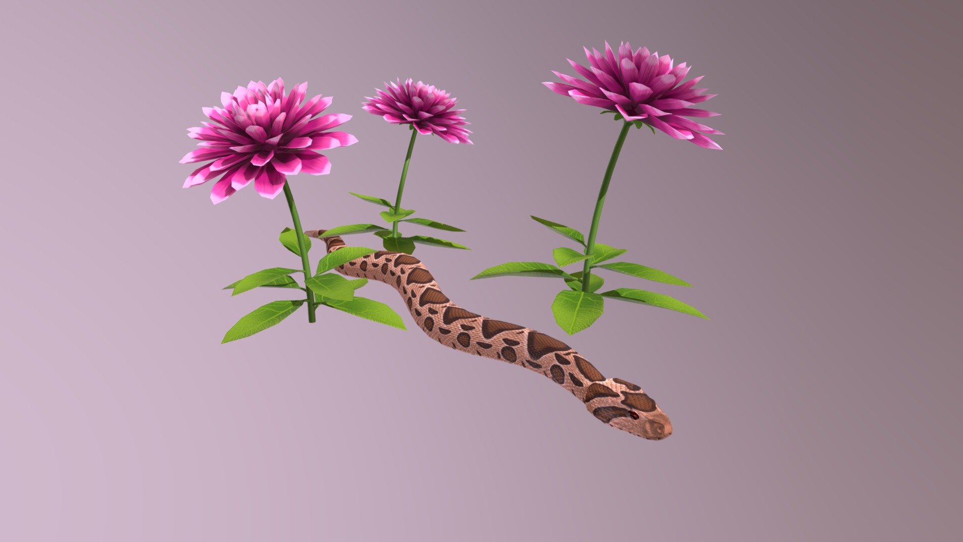 Snake and Flower props